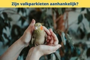 a person holding a bird